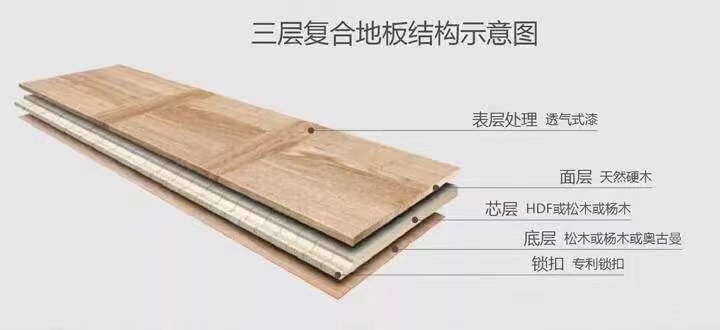 微信图片_20210731181257.jpg
