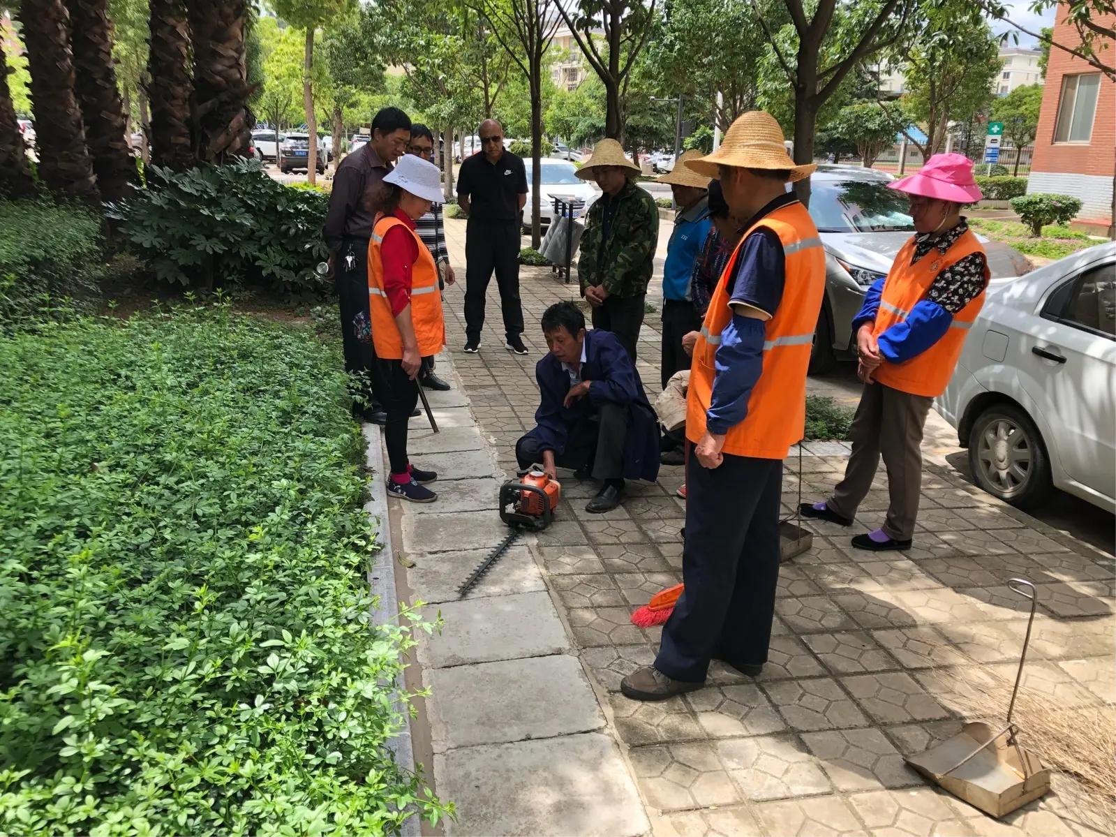 物业有限公司保洁绿化培训教程