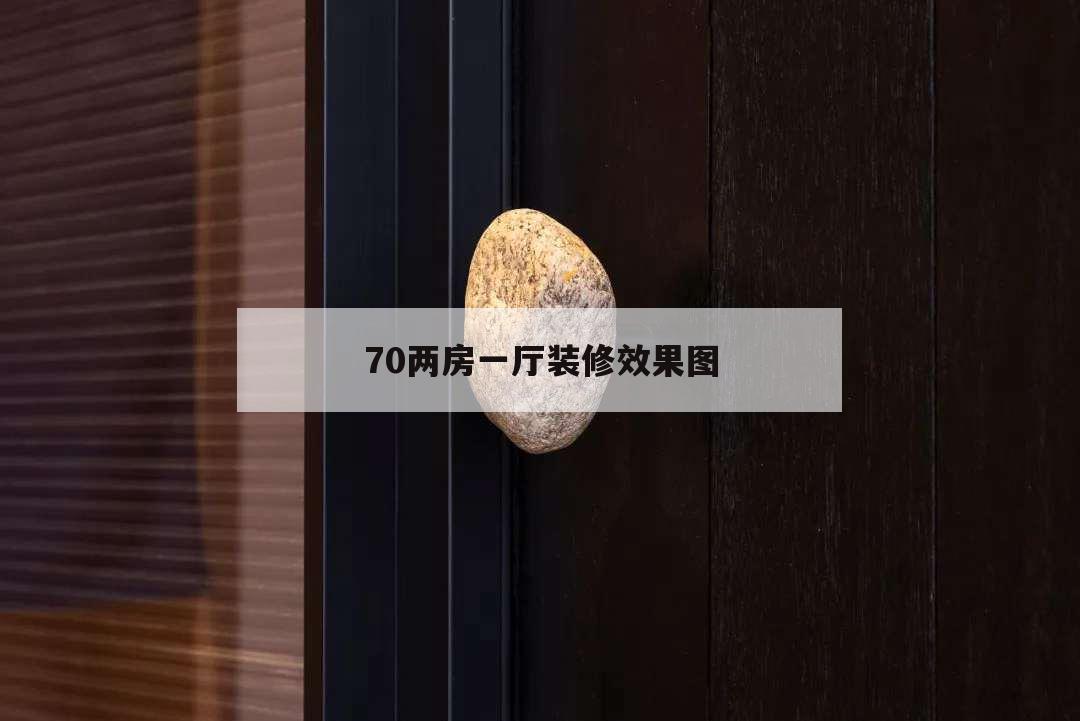 两房一厅装修效果图_四合院厅装修效果图片_3室1厅1卫一厨装修效果
