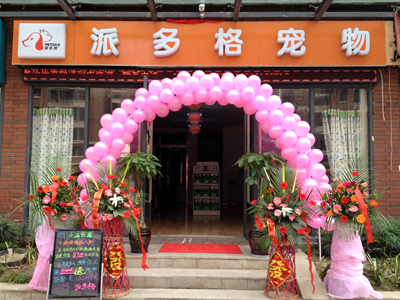 宠物店如何选择店铺和装修