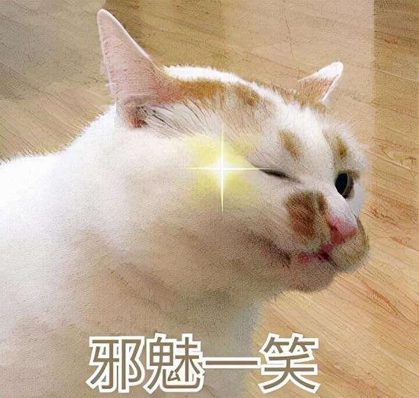 淘宝店铺装修教程2014_新版淘宝店铺装修教程网店装修视频_装修淘宝店铺教程