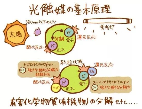 怎样除新车的甲醛最快_除衣服甲醛最有效方法_装修后除甲醛