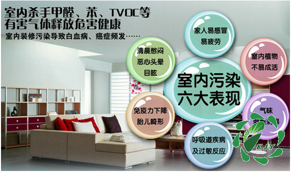 装修污染除甲醛_如何有效去除装修污染_装修污染