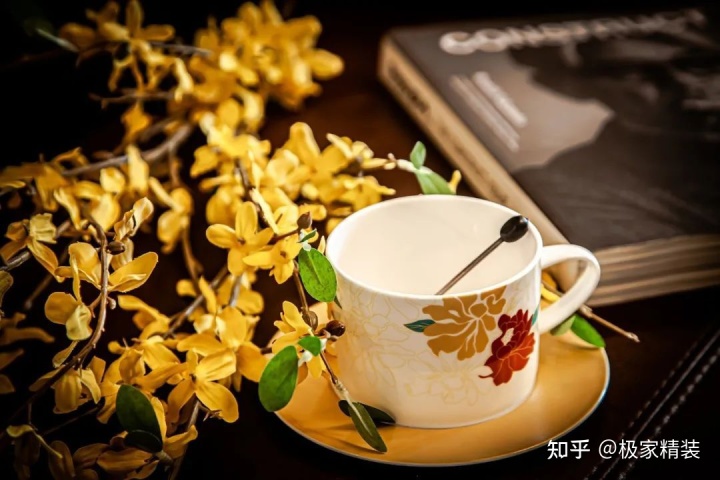家庭影院装修案例_装修效果图小区装修案例_装修案例图
