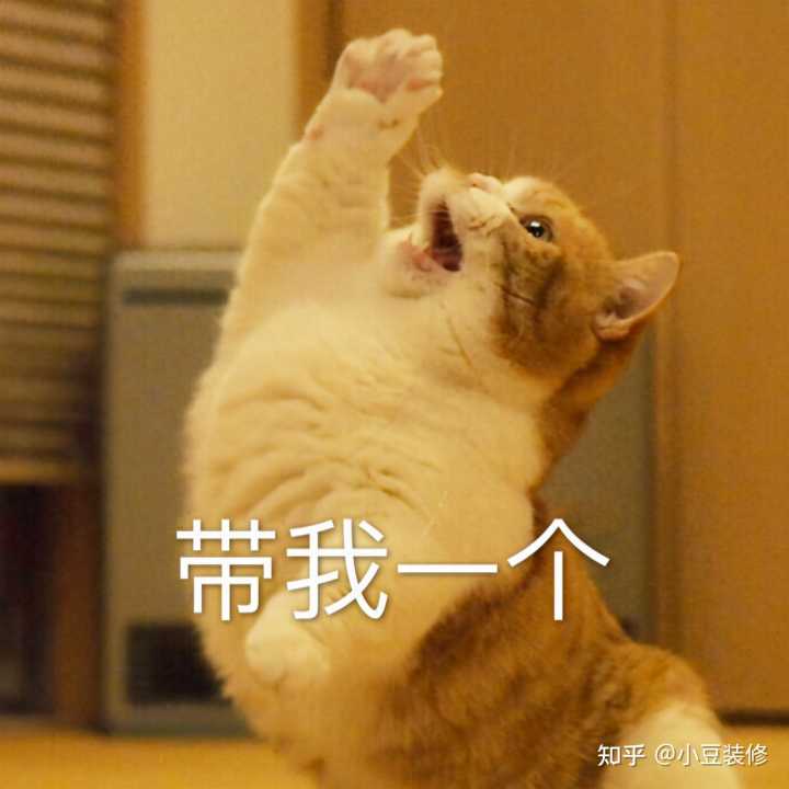 中央厨房设备预算清单 仅供参考_舞台灯光架尺寸经费预算清单_装修预算清单