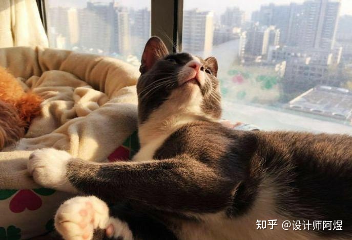 抛光砖装修效果样板图_卧室窗台装修效果图大全2013图片_窗台装修效果图