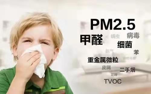 石材 环保 装修_装修墙面环保_环保装修