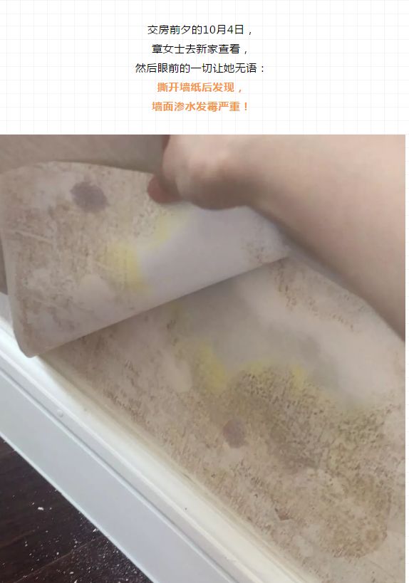 温州装修市场_温州装修_温州装修报价