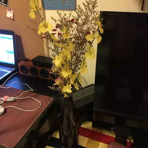 海边度假屋出租_上海格格屋出租_出租屋装修