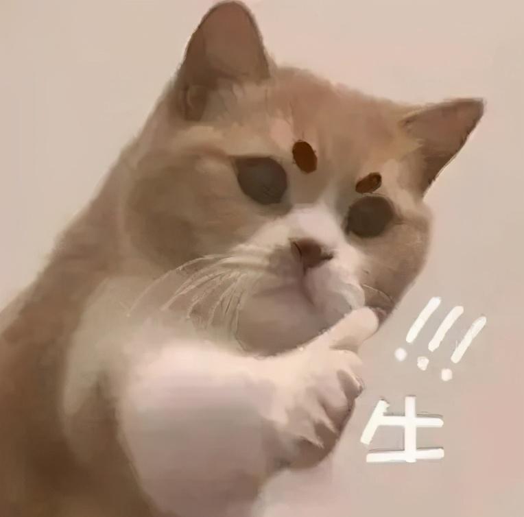 高低床儿童房装修效果图_高低床装修效果图_我爱我家儿童高低床