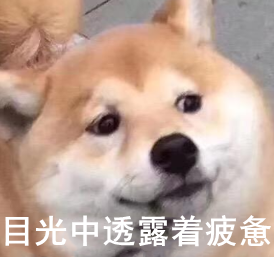 厨房装修风水禁忌_site99166.com 装修厨房风水禁忌_厨房卫生间装修风水禁忌