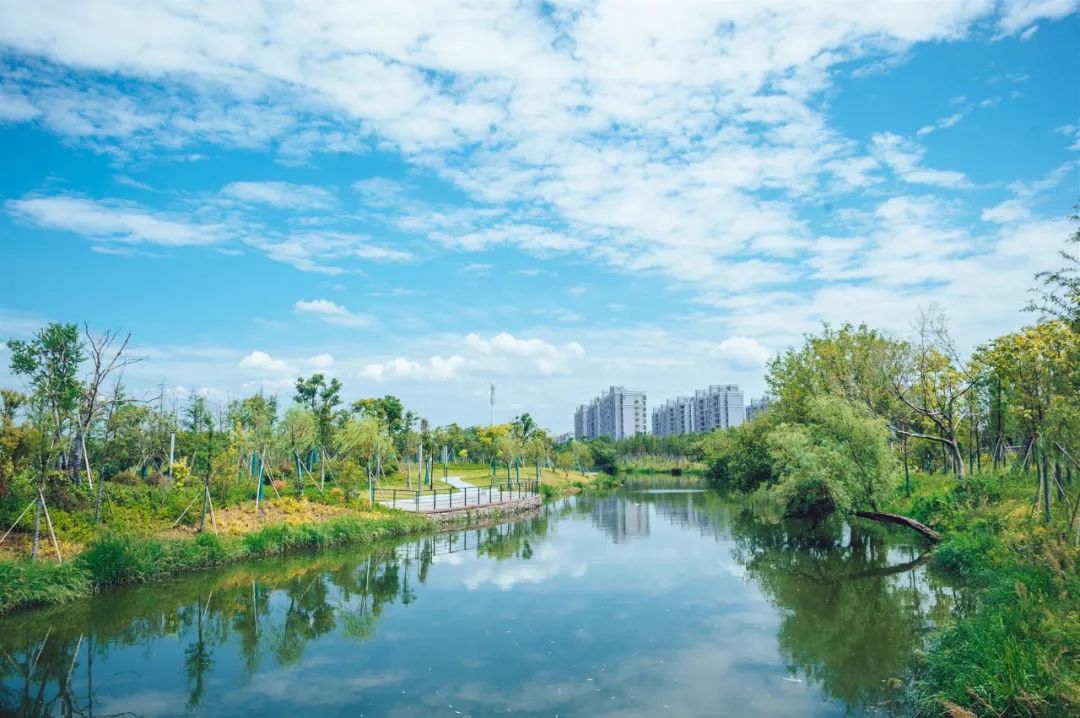 书房装修效果简约图_花园洋房装修效果图_汇仁阳光花园装修效果